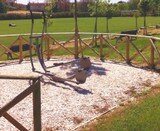 IMG_0938.jpg